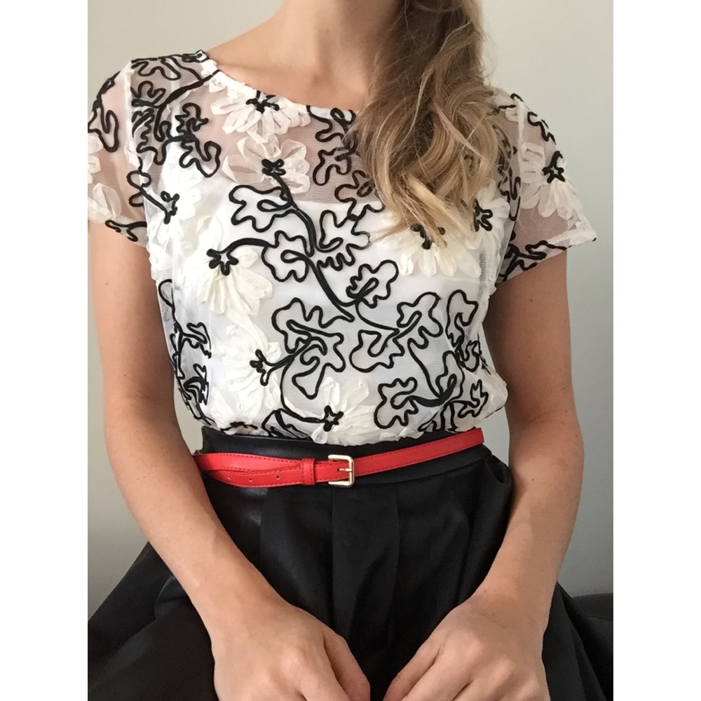 🌹Anthropology Meadow Rue sheer ribbon top🌹 - Picture 2 of 6